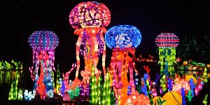 Magical Chinese Lantern Festival